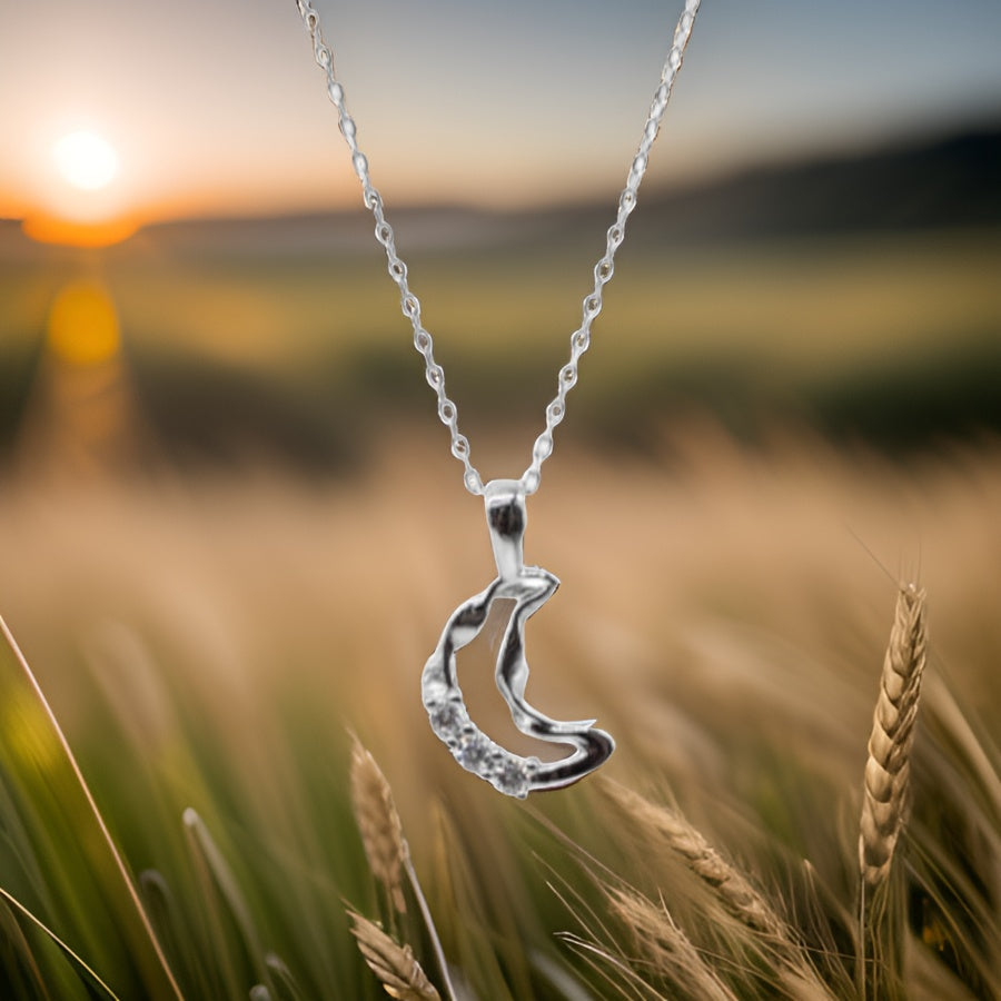 Gargantilla Luna circonita plata de ley