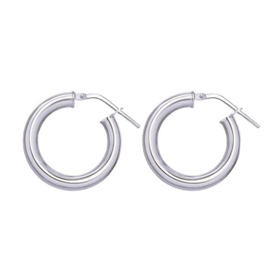AROG SILVER EARRINGS