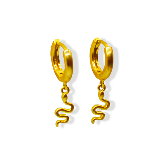 Bofa silver earrings
