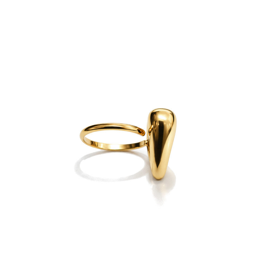 Anillo Brunéi