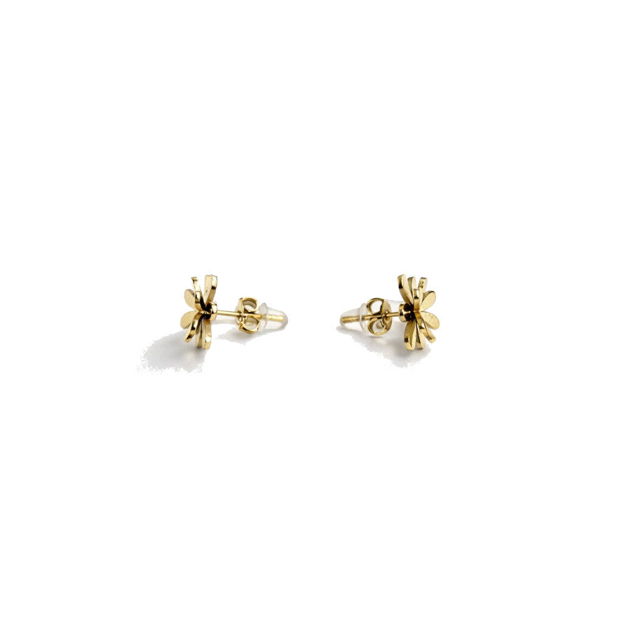 Pendientes Taiwán