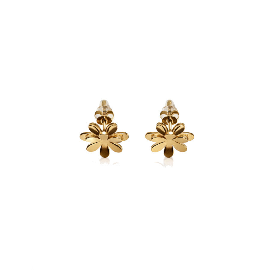 Pendientes Taiwán