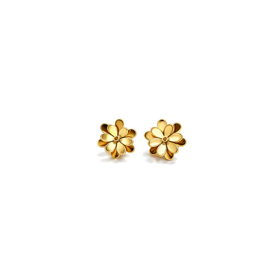 Pendientes Taiwán