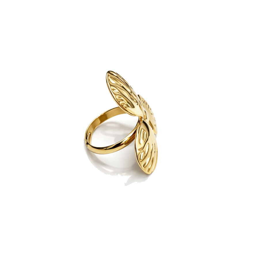 Anillo Nepal