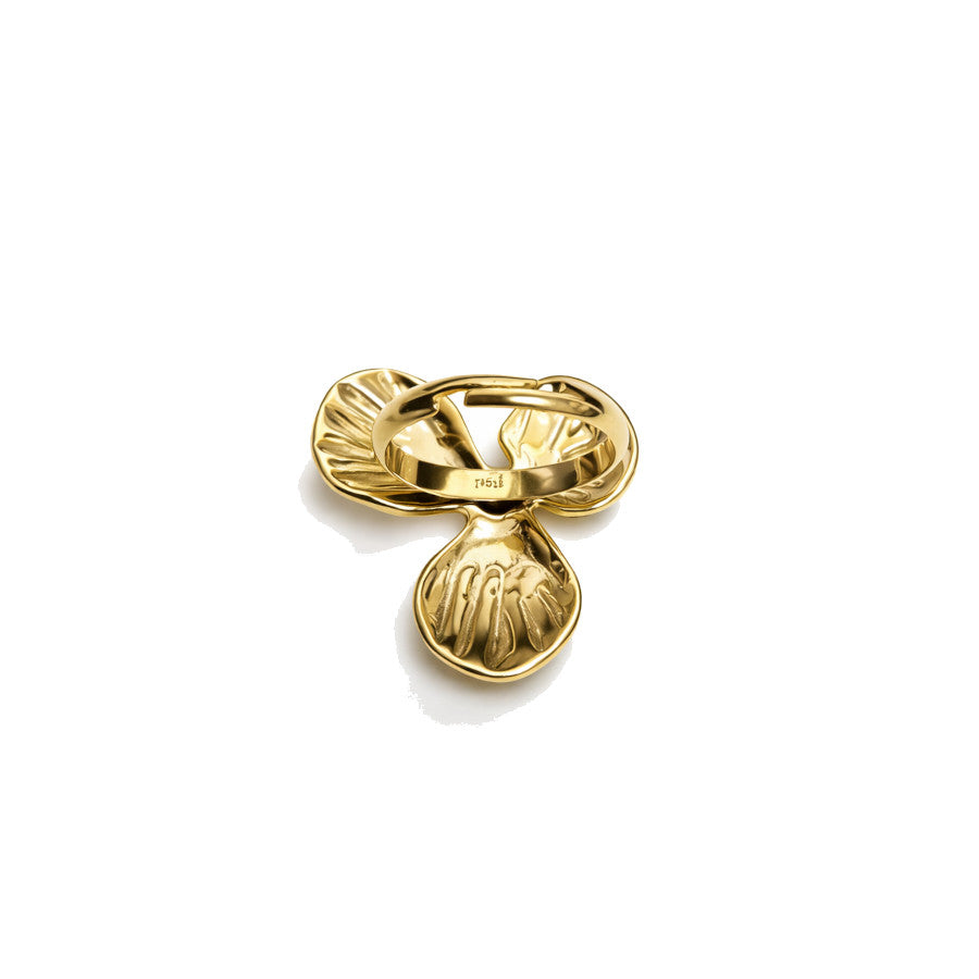 Anillo Nepal