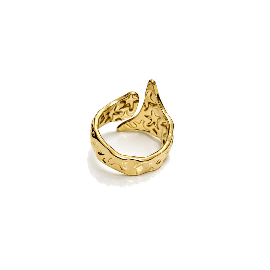 Anillo Pakistán