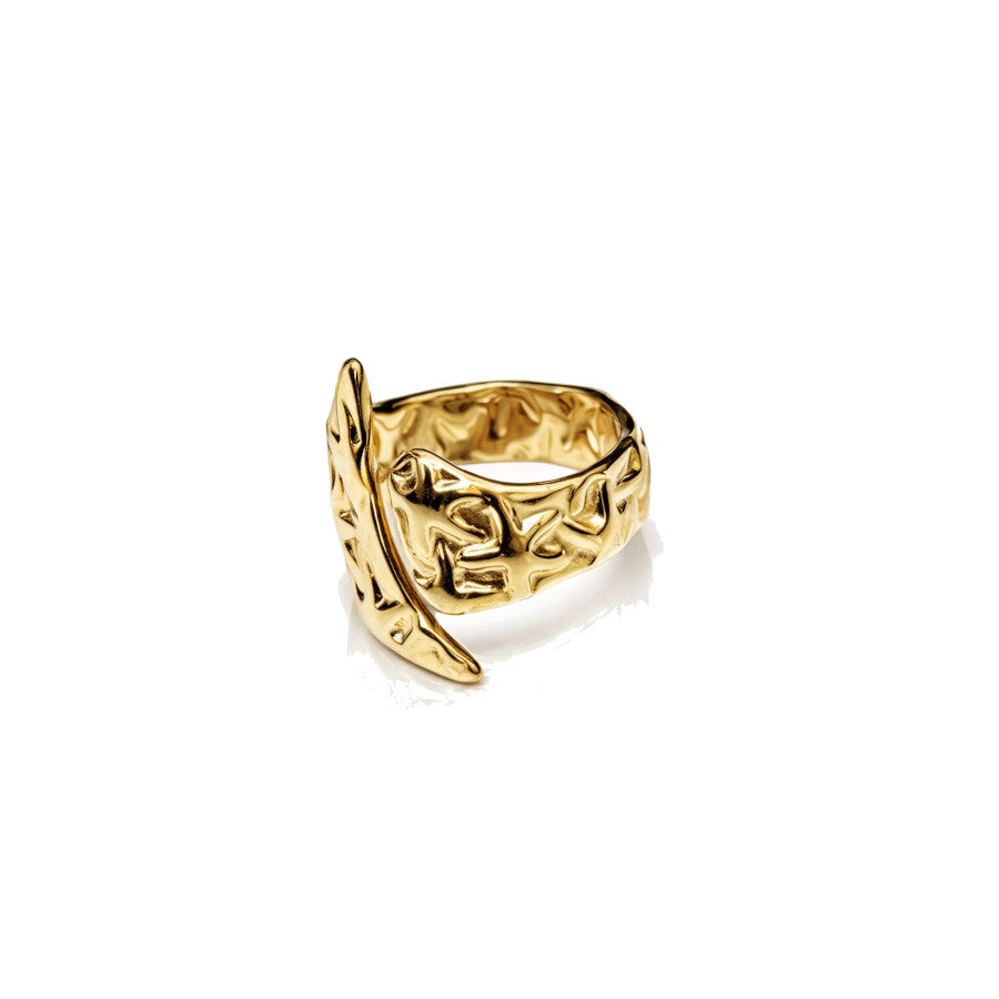 Anillo Pakistán
