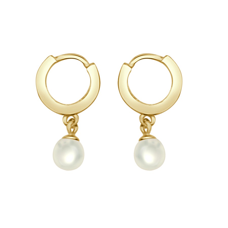 SILVER AND GILT SILVER EARRINGS ANEL