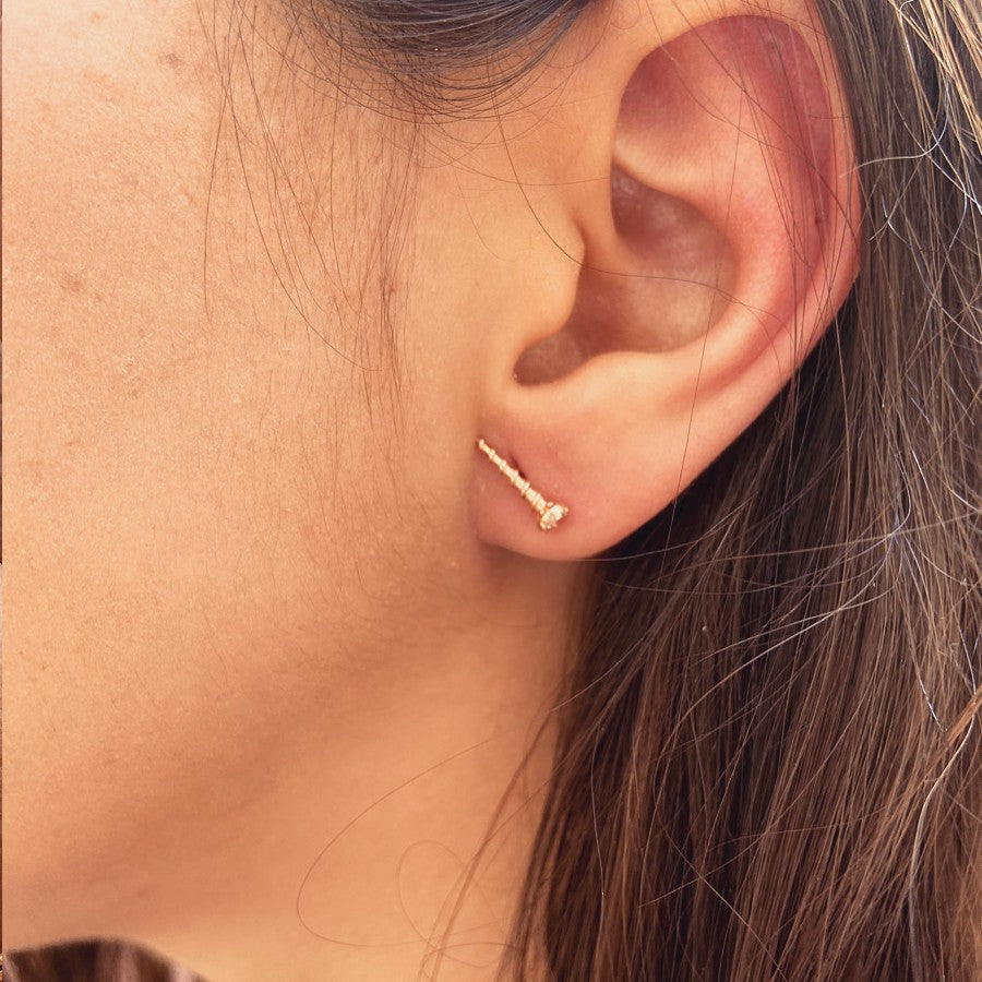 Pendientes Tornillo Plata