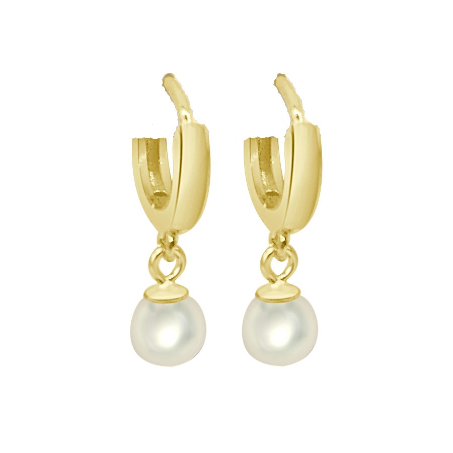 SILVER AND GILT SILVER EARRINGS ANEL